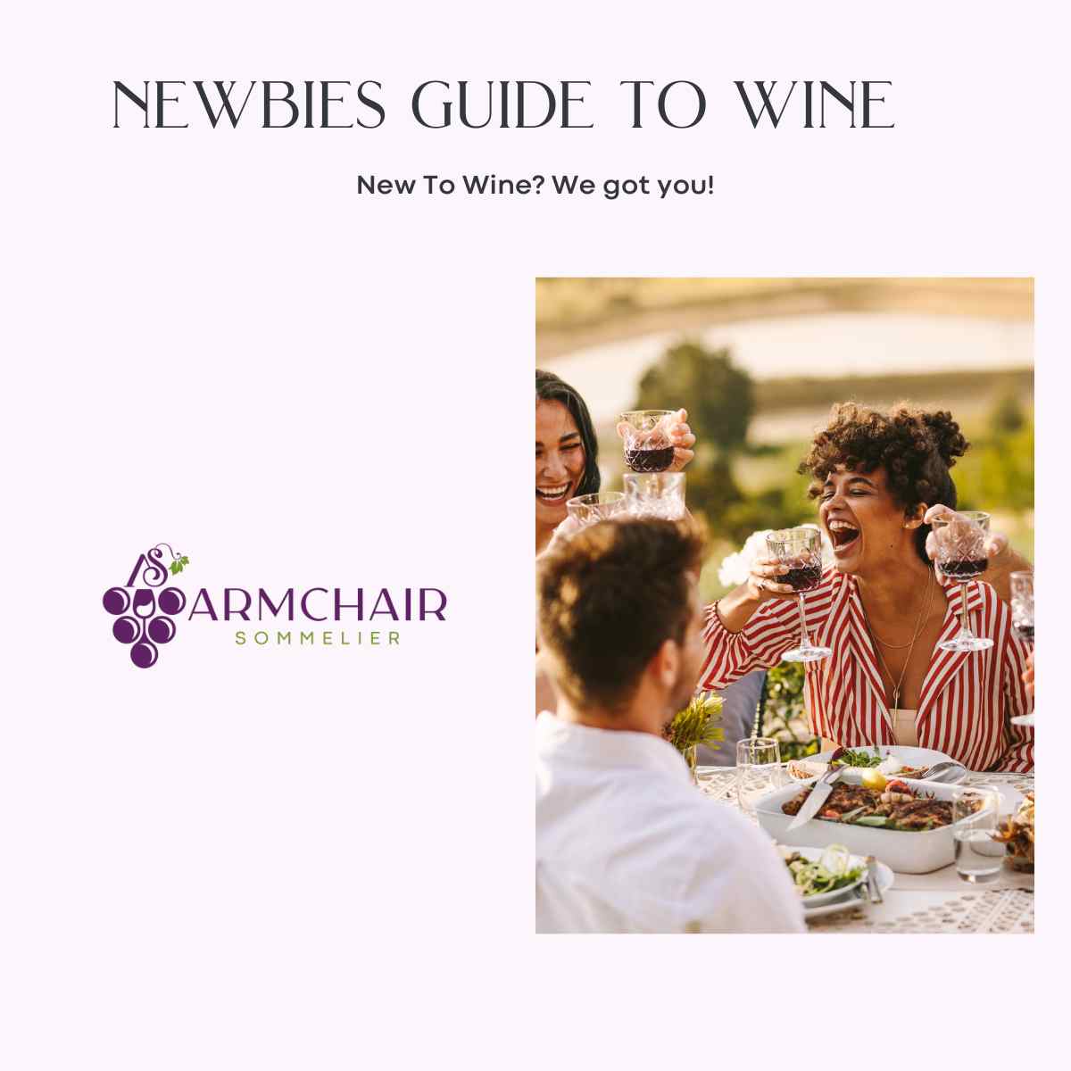 Newbies Guide To Wine - Ebook